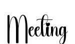 Meeting