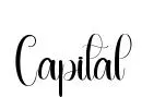 Capital