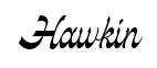 Hawkin