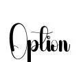 Option